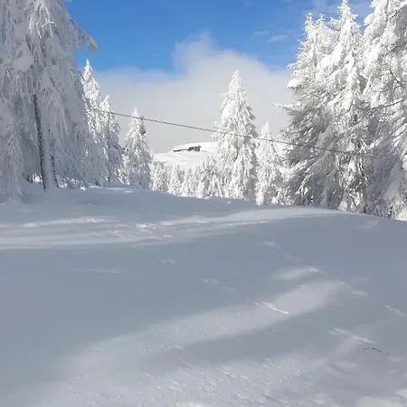 酒店 Sonnenheim Und Garni 3*