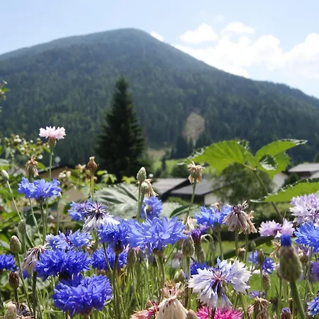 Sonnenheim - Garni Bad Kleinkirchheim