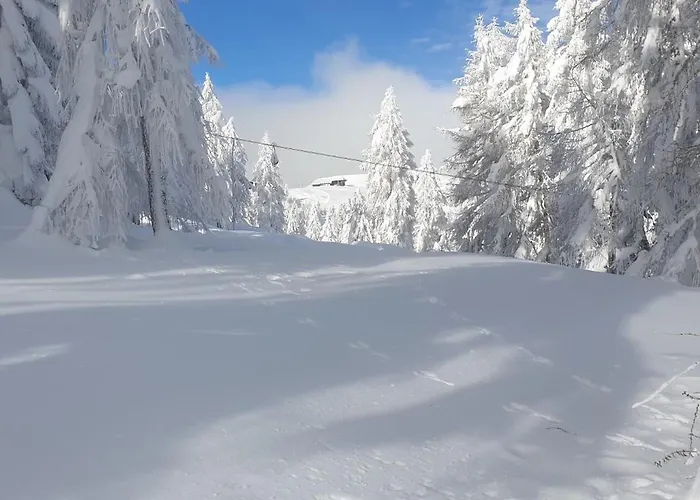 Готель Sonnenheim Und Garni 3*