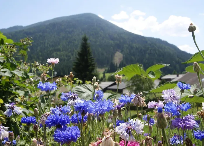 Sonnenheim Und Garni Бад-Кляйнкірхгайм